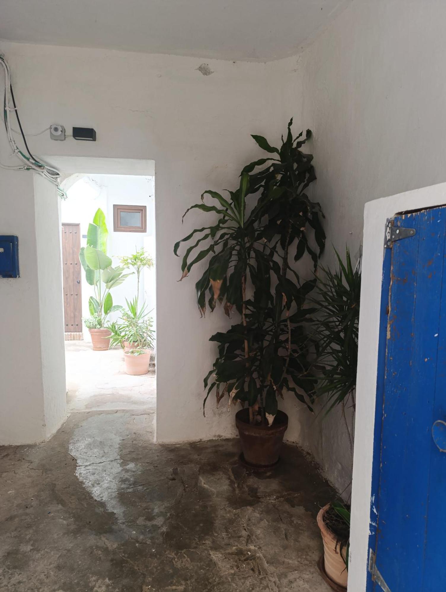 Estudio Centro Con Jardin Compartido Tarifa